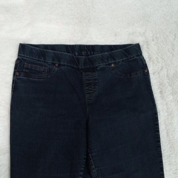 Faded Glory Women's 3 Pocket, Stretch Denim Jeans (Size 14) Color: Jrinse - Picture 3 of 8